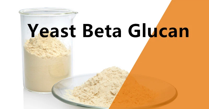 Yeast Glucan.png